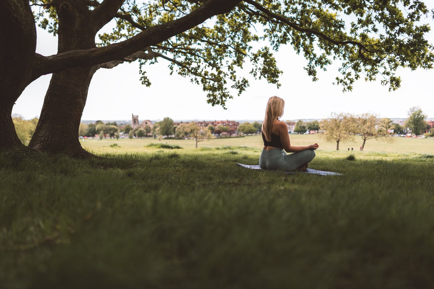 Meditation and Yoga
