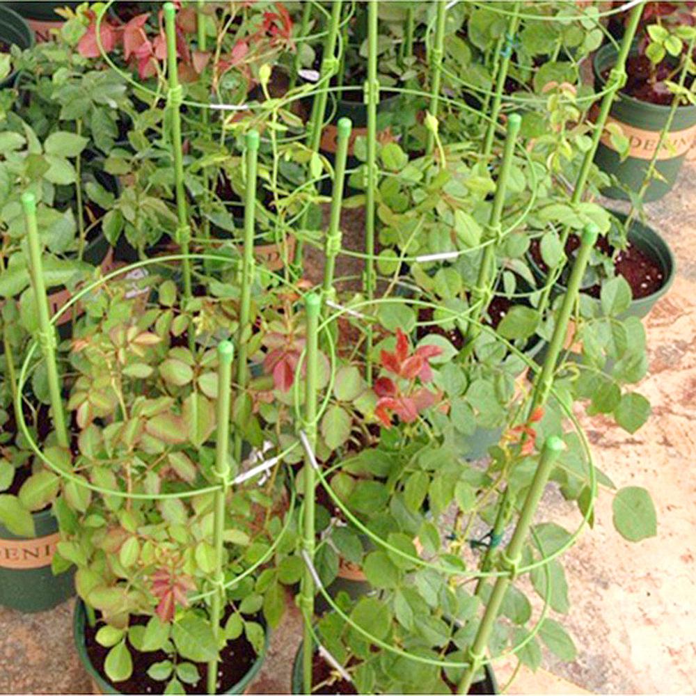 45cm/60cm Climbing Vine Plant Trellis view on live plants