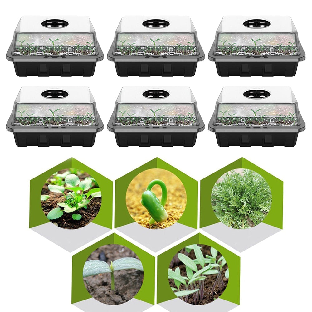 6 pack of 12 cells seed starter tray with clear plastic lid and black plastic base, trays are reusable and perfect for germinating