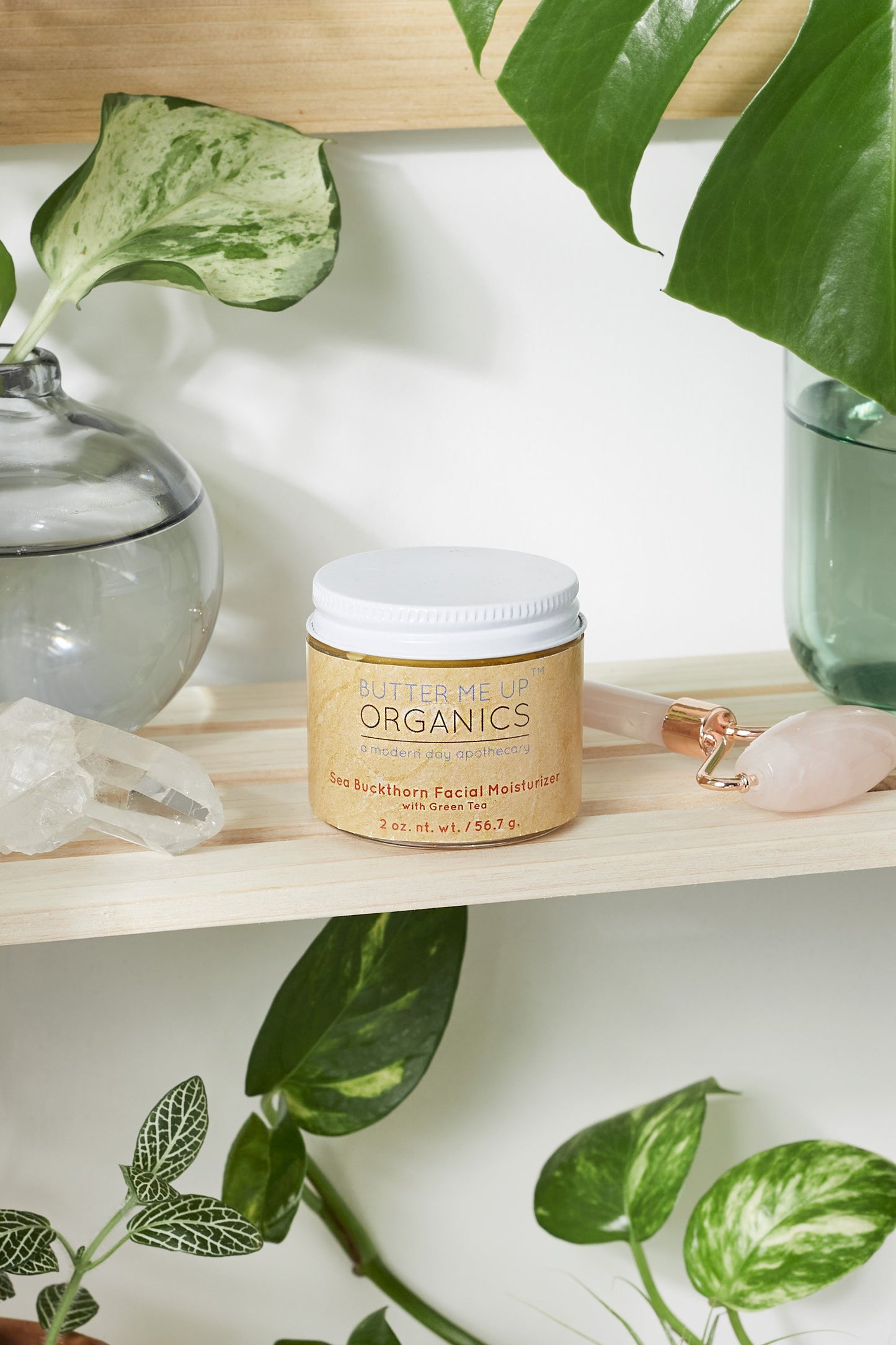 Organic Sea Buckthorn Facial Moisturizer 2 oz closed jar on shelf