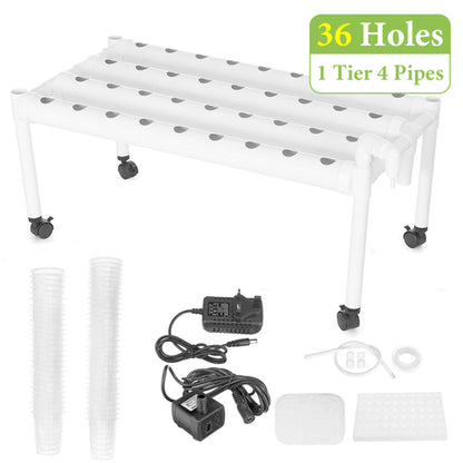 Hydroponic Growing Kit