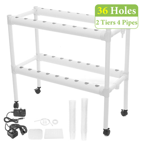 Hydroponic Growing Kit