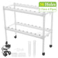 Hydroponic Growing Kit