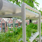 Hydroponic Growing Kit