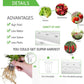 Hydroponic Growing Kit