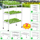 Hydroponic Growing Kit