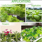 Hydroponic Growing Kit