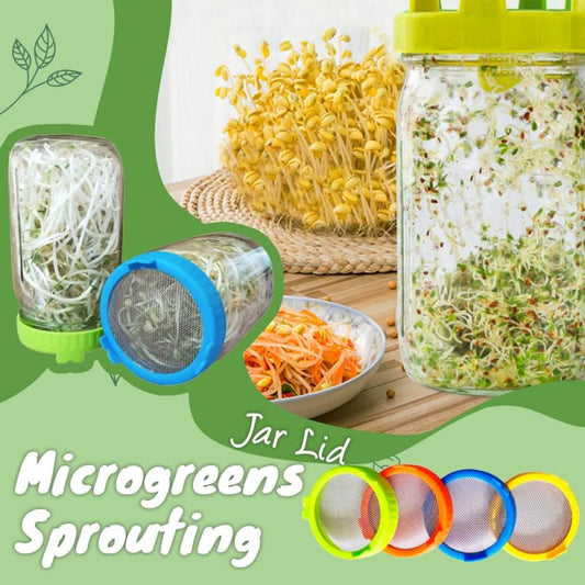 microgreens and sprouting mason jar lids that come in assortment of colors, comes in a set of 4