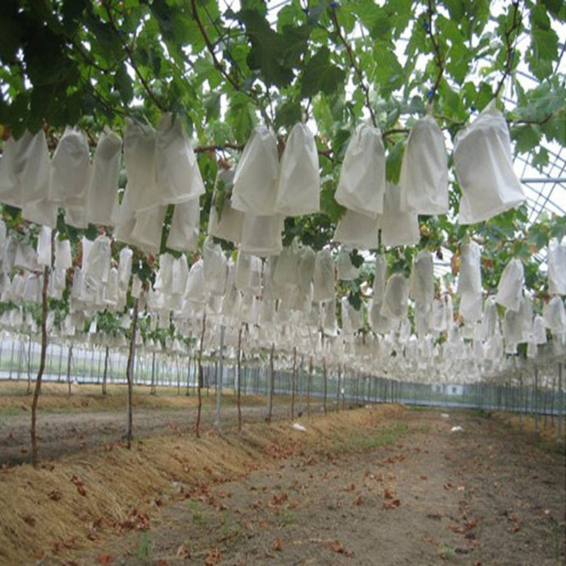 50 Pc. Vegetable/Fruit Protection Bags