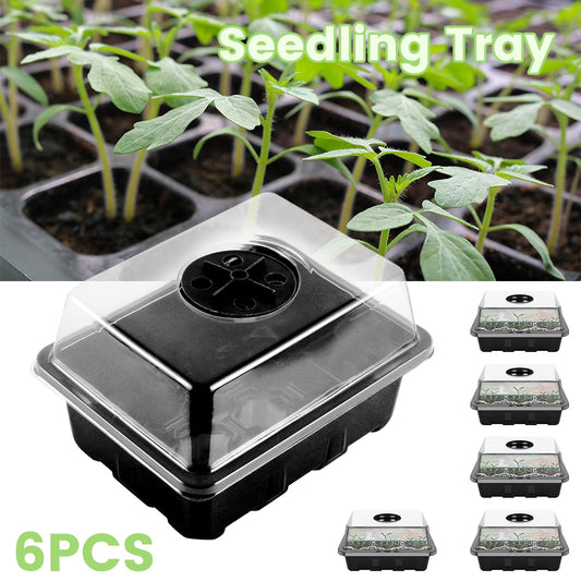 6 pack of 12 cells seed starter tray with clear plastic lid and black plastic base