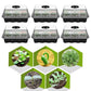 6 pack of 12 cells seed starter tray with clear plastic lid and black plastic base, trays are reusable and perfect for germinating