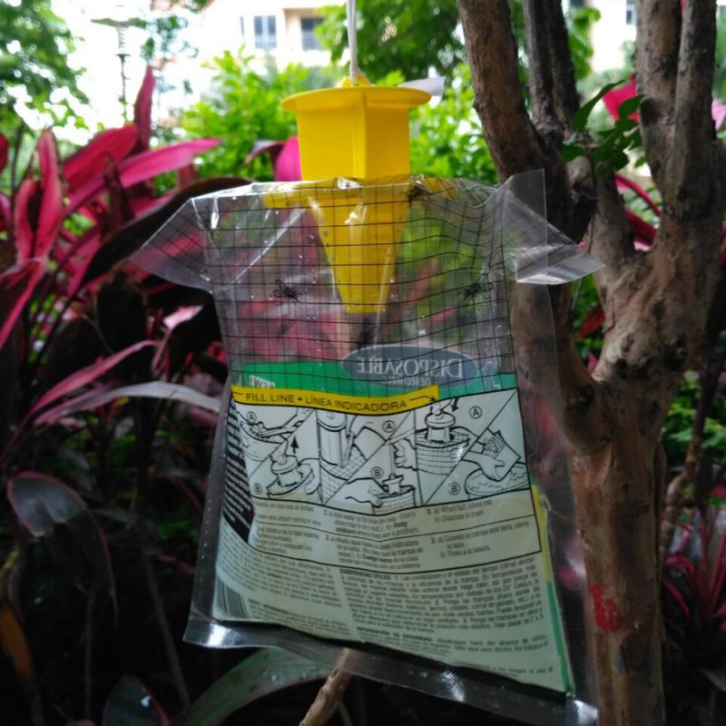 6pcs Disposable Hanging Fly Traps