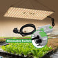 Samsung Diode Quantum Full Spectrum LED Grow Lights