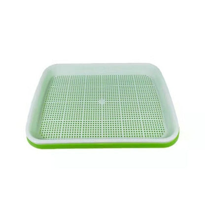 Soil Free Big Capacity Seed Sprouter Tray