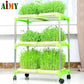 Soil Free Big Capacity Seed Sprouter Tray