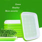 Soil Free Big Capacity Seed Sprouter Tray