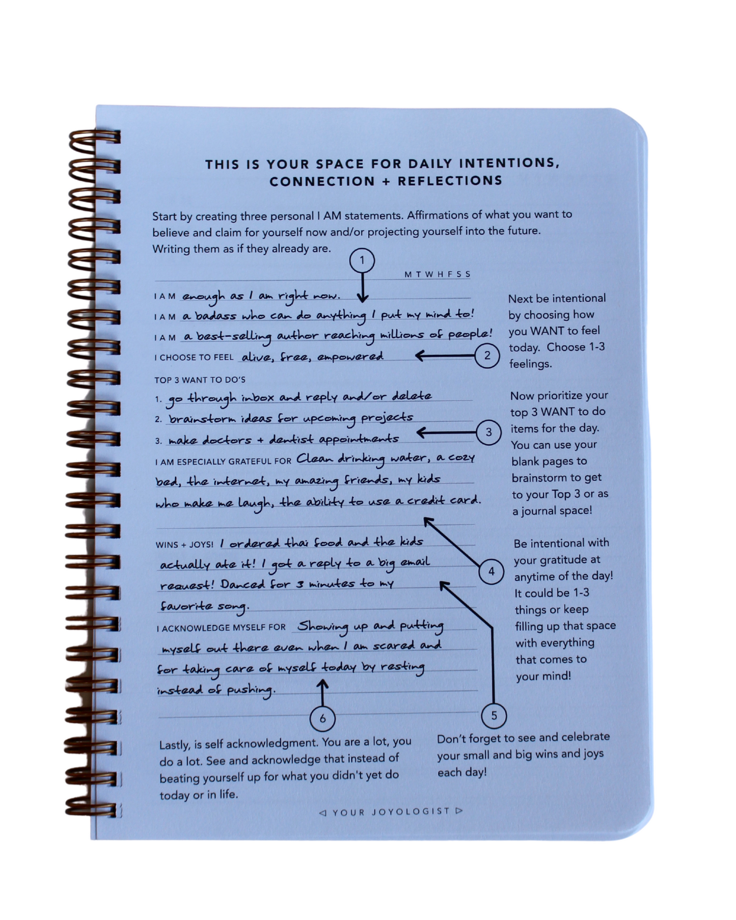 Daily Intentions, Connection, Reflection Journal